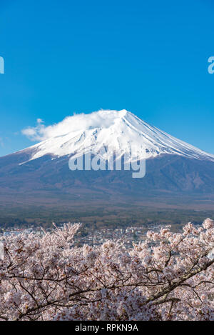 Mount Fuji (Mt. Fuji) mit blauem Himmel Hintergrund in Sakura Kirschblüte. Arakurayama Sengen Park, Fujiyoshida, Yamanashi, Japan Stockfoto