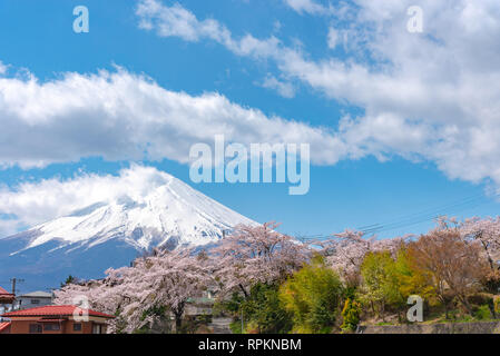 Mount Fuji (Mt. Fuji) mit blauem Himmel Hintergrund in Sakura Kirschblüte. Arakurayama Sengen Park, Fujiyoshida, Yamanashi, Japan Stockfoto