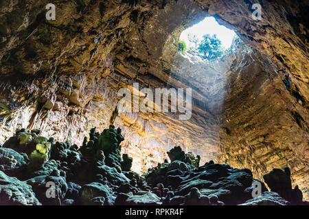 Grotten von Castellana. Apulien Stockfoto