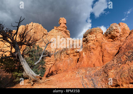 Landschaft von Closeup Sandstein Felsformationen in der Nähe von Red Canyon, Hoodoo Rocks in Utah, USA Stockfoto