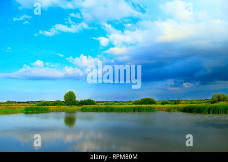 Landschaft mit See mit Zuckerrohr und große Wolken umgeben. Reisig von Rush in See. Wunderschöne natürliche Landschaft mit Teich und Wolken Stockfoto