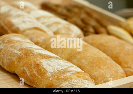 Frisch gebackenes Brot Brote in der Bäckerei. Selektive konzentrieren. Stockfoto