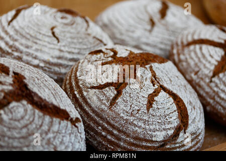 Runde Brote traditionelle dunkle Roggenbrot. Selektive konzentrieren. Stockfoto