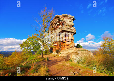 Burg Anebos in Pfälzer Wald im Herbst, Deutschland Stockfoto