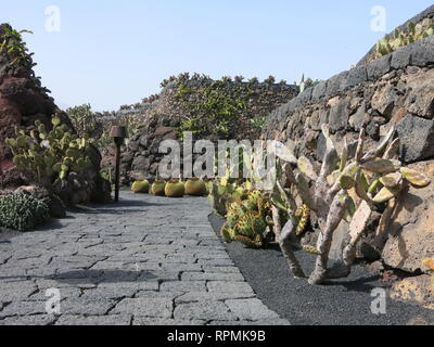 Cesar Manrique erstellt eine beeindruckende Kakteen Garten aus einem stillgelegten Steinbruch in der kargen Vulkanlandschaft Lanzarotes; jetzt eine wichtige touristische Attraktion. Stockfoto