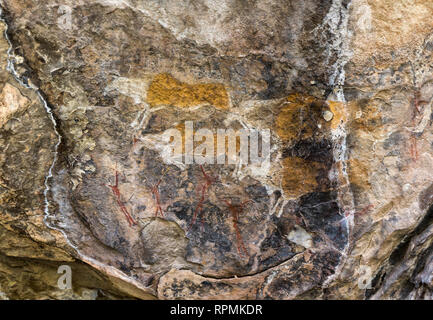 Buschmann Malereien bei Ha Barona Rock, Nazareth, Lesotho, die eine Herde von Elan gejagt. Die Elan sind orange mit einem ockerfarbenen natürlichen Farbstoff gefärbt. Stockfoto