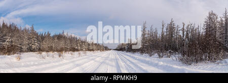 Panorama der schneebedeckten Straße an der Sax-Zim Moor. Duluth, Minnesota, USA. Stockfoto