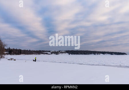 Ein Mann, der seinen Hund am Ufer des eisigen Lake Superior. Zwei Häfen, Minnesota, USA. Stockfoto