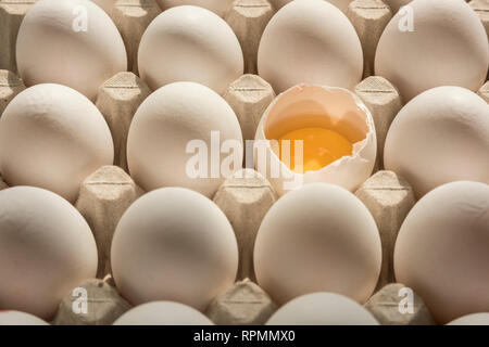 Viele Eier in ei Karton, eine zerbrochene Eierschale mit sichtbaren Eigelb, vitellus. Stockfoto