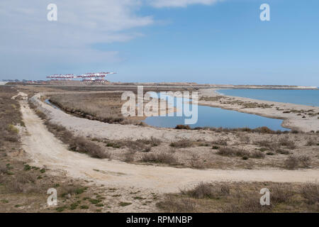 Natürliche Bereiche des Llobregat Delta mit der Barcelona Hafen im Hintergrund. Provinz Barcelona. Katalonien. Spanien. Stockfoto