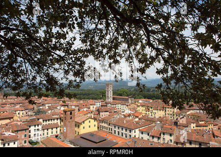 Lucca - Blick auf das Renaissance Stadt Lucca in der Toskana aus der Guigini Turm Stockfoto