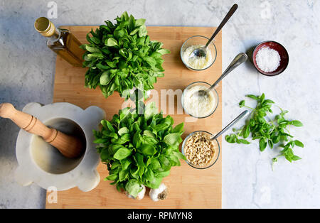 Alle Bestandteile, die für eine ordnungsgemäße Pesto werden auf einem Marmortisch festgelegt Stockfoto