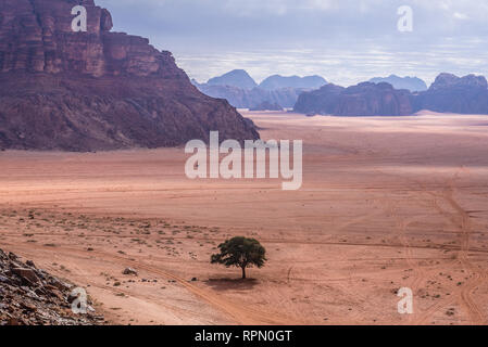 Blick von Lawrence Frühling im Wadi Rum Tal auch genannt Tal des Mondes in Jordanien Stockfoto