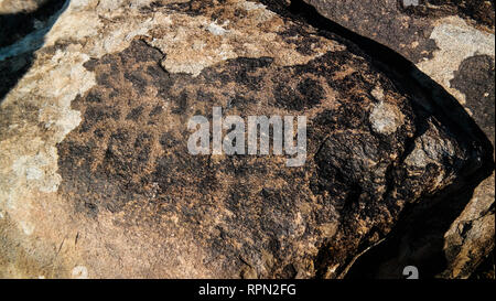 Rock Malerei aka petroglypgs in der Feld-, Cholpon-Ata, Issyk-kul, Kirgisistan Stockfoto