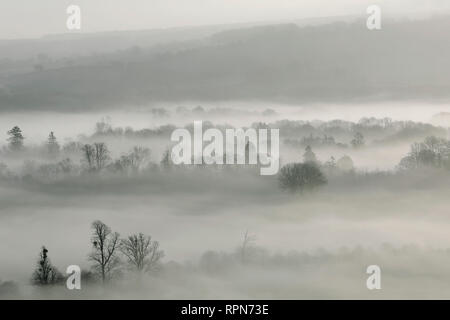 Nebel und Frost im Meon Valley in der South Downs National Park, in der Nähe von Bishops Waltham, UK, Dienstag, 19. Februar. Foto: © Lukas MacG Stockfoto