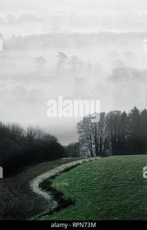 Nebel und Frost im Meon Valley in der South Downs National Park, in der Nähe von Bishops Waltham, UK, Dienstag, 19. Februar. Foto: © Lukas MacG Stockfoto