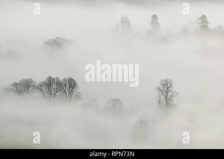 Morgennebel wirbelt um Bäume im Meon Valley in der South Downs National Park, in der Nähe von Bishops Waltham, UK, Dienstag, 19. Februar. Foto: © Stockfoto