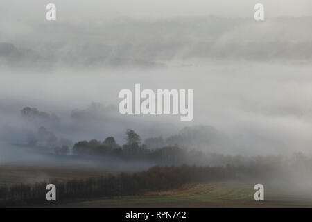 Nebel und Frost im Meon Valley in der South Downs National Park, in der Nähe von Bishops Waltham, UK, Dienstag, 19. Februar. Foto: © Lukas MacG Stockfoto