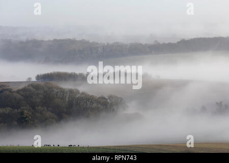 Nebel und Frost im Meon Valley in der South Downs National Park, in der Nähe von Bishops Waltham, UK, Dienstag, 19. Februar. Foto: © Lukas MacG Stockfoto