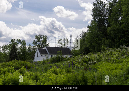 Lupinen von St. Matthäus Kapelle von Sugar Hill New Hampshire Stockfoto