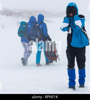 ALMATY, Kasachstan - 03 Februar 2019: Nicht identifizierte Personen durch einen Schneesturm zu Fuß während des AlpineRais Wettbewerb in den Bergen während der Stockfoto