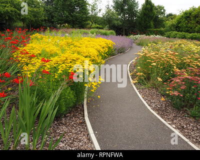 Weg durch die Blumen in bunten Sommer Grenzen in Breezy Knie Garten an Warthill in der Nähe von York, England Stockfoto