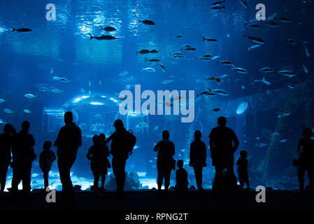 Las Palmas de Gran Canaria, Kanarische Inseln, Spanien - 1. Juli 2018: Besucher genießen Blick auf das Leben im Meer in der größte Behälter von Aquarium Poemas del Mar Stockfoto