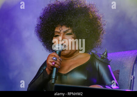 Brasilianische Sängerin Elza Soares führt bei ihrem Konzert in Primavera Sound Porto 2017 Stockfoto