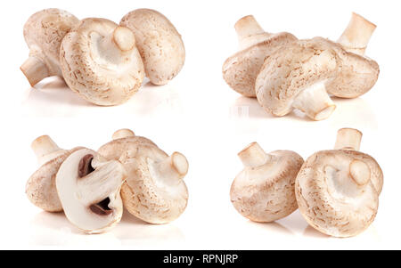 Frische champignon Pilze auf weißem Hintergrund. Eingestellt oder Sammlung Stockfoto