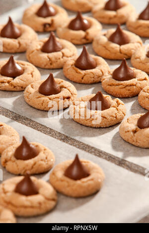 Erdnuss Blossom Cookies Stockfoto