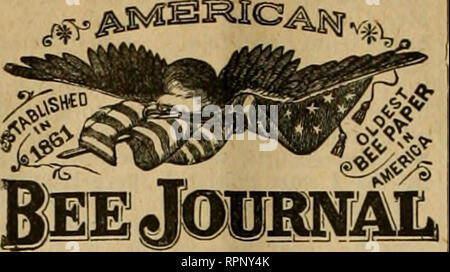 . American bee Journal. Biene Kultur; Bienen. 588 Die AMERICAl^ BEE JOURNAL. 6. Ist alt Kamm von viel Vorteil zu schwärmen? Oder kann tdey bauen über so viel Kamm sowie nicht V bemerkte ich, wo ich zum Teil alte Kämme, Sie haben noch keine neuen Kamm aufbauen, bis Sie alle alten Kamm voll. [1. Ja. 2. Wahrscheinlich ein Zehntel. Die frachtkosten unter der Zwischenstaatlichen Kom-mission wird nicht Kalifornien Honig mit östlichen Honig zu konkurrieren nicht mehr erlauben. 3. Es stirbt Wurzel und Zweig. Um es kontinuierlich auf dem gleichen Boden zu haben, muss das Saatgut zwei Jahren gesät werden, für die es keine Blüte, bis das seco Stockfoto