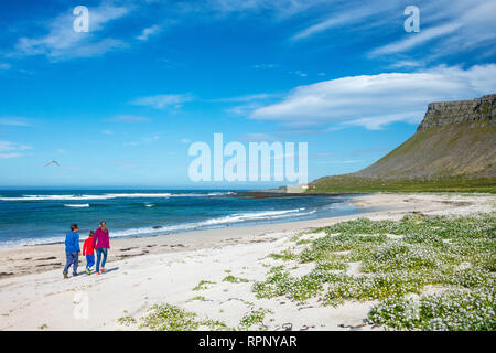 Familie vorbei Arctic Sea-Rakete (cakile arctica) auf dem sandigen Strand an der Breidavik. Latrabjarg Halbinsel, Westfjorde, Island. Stockfoto