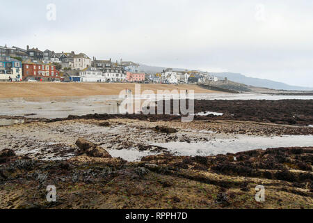 Lyme Regis, Dorset, Großbritannien. 22. Februar 2019. UK Wetter. Ebbe in Lyme Regis in Dorset an einem Tag bedeckt und nebelig, Himmel während der Februar Schule Herbstferien Urlaub. Foto: Graham Jagd-/Alamy leben Nachrichten Stockfoto