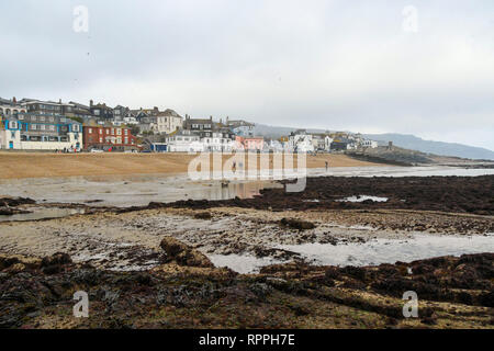 Lyme Regis, Dorset, Großbritannien. 22. Februar 2019. UK Wetter. Ebbe in Lyme Regis in Dorset an einem Tag bedeckt und nebelig, Himmel während der Februar Schule Herbstferien Urlaub. Foto: Graham Jagd-/Alamy leben Nachrichten Stockfoto