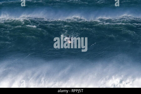 Newquay, Cornwall. 22 Feb, 2019. UK Wetter: Legendäre Cribbar Big Wave an Newquay Cornwall gesurft. Credit: Robert Taylor/Alamy leben Nachrichten Stockfoto