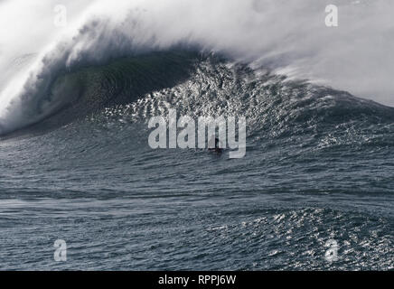 Newquay, Cornwall. 22 Feb, 2019. UK Wetter: Legendäre Cribbar Big Wave an Newquay Cornwall gesurft. Credit: Robert Taylor/Alamy leben Nachrichten Stockfoto