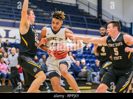 Edmond, OK, USA. 21 Feb, 2019. Universität Central Oklahoma vorwärts Adarius Avery (10) Laufwerke mit der Kugel während ein Basketballspiel zwischen der Fort Hays State Tiger und der zentralen Oklahoma Bronchos am Hamilton Field House in Edmond, OK. Grau Siegel/CSM/Alamy leben Nachrichten Stockfoto