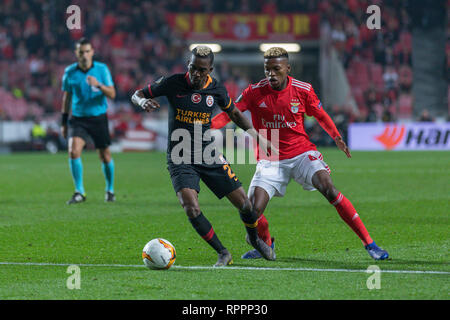 Lissabon, Portugal. 21 Feb, 2019. Februar 21, 2019. Lissabon, Portugal. Galatasaray ist aus Nigeria Henry Onyekuru (21) und die benfica Mittelfeldspieler aus Portugal Florentino Luis (61), die in Aktion im Spiel der UEFA Europa League, eine Runde 32, SL Benfica vs Galatasaray SK Credit: Alexandre de Sousa/Alamy leben Nachrichten Stockfoto