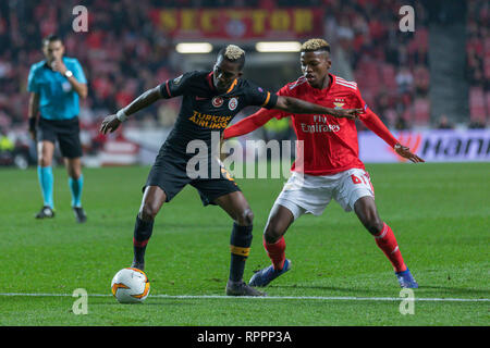 Lissabon, Portugal. 21 Feb, 2019. Februar 21, 2019. Lissabon, Portugal. Galatasaray ist aus Nigeria Henry Onyekuru (21) und die benfica Mittelfeldspieler aus Portugal Florentino Luis (61), die in Aktion im Spiel der UEFA Europa League, eine Runde 32, SL Benfica vs Galatasaray SK Credit: Alexandre de Sousa/Alamy leben Nachrichten Stockfoto