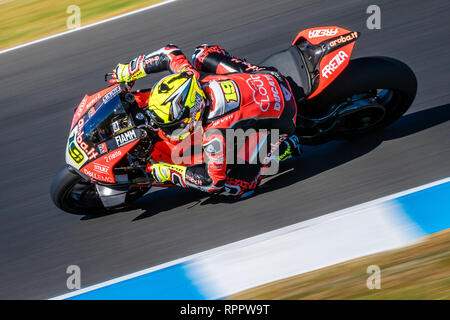 Melbourne, Australien. 23. Feb 2019. Alvaro Bautista 19 Reiten für Aruba.it Racing Ducati während der 2019 MOTUL FIM Superbike Weltmeisterschaft auf Phillip Island, Australien am 23. Februar 2019. Credit: Dave Hewison Sport/Alamy leben Nachrichten Stockfoto