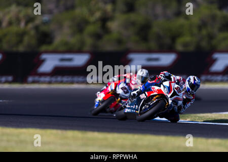 Phillip Island, Australien. 23 Feb, 2019. World Superbikes Meisterschaft, Qualifikation; Markus Reiterberger, Ryuichi Kiyonari während der freien Praxis 3 Credit: Aktion plus Sport/Alamy leben Nachrichten Stockfoto