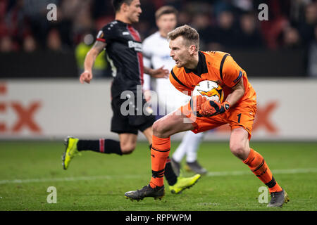 Leverkusen, Deutschland. 21 Feb, 2019. Fußball: Europa League, Bayer Leverkusen - FK Krasnodar, die K.o.-Runde, Zwischenrunde, 2 Beine. Leverkusens Torwart Lukas Hradecky fängt den Ball. Credit: Marius Becker/dpa/Alamy leben Nachrichten Stockfoto