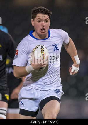 Februar 22, 2019 Toronto Pfeile hooker Andrew Quattrin (2) während der Ausstellung Spiel zwischen dem Toronto Pfeile und das Houston SaberCats im Sternbild Feld, Sugar Land, Texas. Halbzeit Toronto Pfeile sind bis über dem Houston SaberCats 27-10. © Maria Lysaker/Cal Sports Media Stockfoto