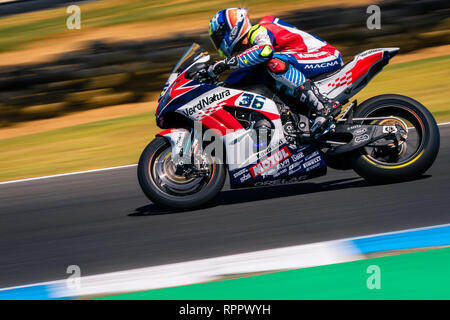 Melbourne, Australien. 23. Feb 2019. Leandro Mercado 36 Reiten für Team GoEleven Kawasaki während der 2019 MOTUL FIM Superbike Weltmeisterschaft auf Phillip Island, Australien am 23. Februar 2019. Credit: Dave Hewison Sport/Alamy leben Nachrichten Stockfoto