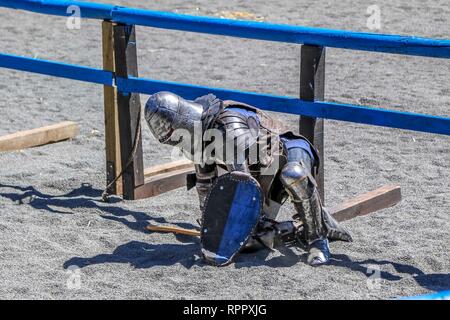 Victoria, Australien. 23. Feb 2019. Western Wölfe - Volle Kraft mittelalterlichen Kampf-23 Februar 2019 - kryal Schloss, Ballarat, Victoria, Australien. full contact, voller Kraft, Stahl Waffen kämpfen wie nichts, die Sie nie zuvor gesehen haben, als die Jungs von der mittelalterlichen Bekämpfung AMCF (Australian Federation) Herzog es heraus für die Weltmeisterschaften in einigen der intensivsten bekämpfen, dass Sie überhaupt Zeugnis vorzubereiten. Credit: Brett Keating/Alamy leben Nachrichten Stockfoto