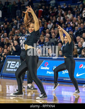 Amherst, New York, USA. Feb 22, 2019: Mitglieder der UB Dazzlers durchführen, während der ersten Hälfte des Spiels in der NCAA Basketball Spiel zwischen der Kent State Golden blinkt und Buffalo Stiere an Alumni-Arena in Amherst, NY (Nicholas T. LoVerde/Cal Sport Media) Credit: Cal Sport Media/Alamy leben Nachrichten Stockfoto