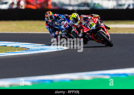 Phillip Island, Australien. 23 Feb, 2019. World Superbikes Meisterschaft, Qualifikation; Alvaro Bautista, Michael van der Mark während der superpole Credit: Aktion plus Sport/Alamy leben Nachrichten Stockfoto