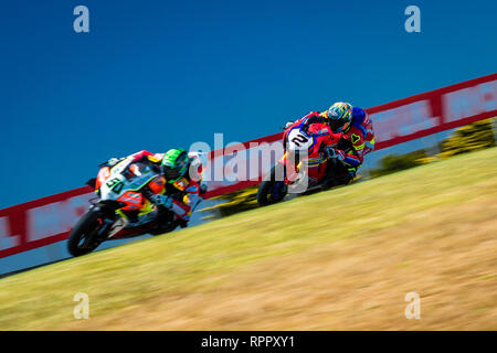 Melborune, Australien. 23. Feb 2019. Leon Camier 2 Reiten für Red Bull Honda World Superbike Team während der 2019 MOTUL FIM Superbike Weltmeisterschaft auf Phillip Island, Australien am 23. Februar 2019. Credit: Dave Hewison Sport/Alamy leben Nachrichten Stockfoto