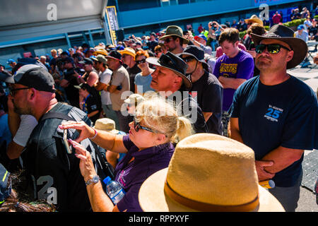 Melborune, Australien. 23. Feb 2019. Fans während der 2019 MOTUL FIM Superbike Weltmeisterschaft auf Phillip Island, Australien am 23. Februar 2019. Credit: Dave Hewison Sport/Alamy leben Nachrichten Stockfoto