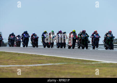 Phillip Island, Australien. 23 Feb, 2019. World Superbikes Meisterschaft, Rennen 1; Beginn der Rennen 1 Credit: Aktion plus Sport/Alamy leben Nachrichten Stockfoto